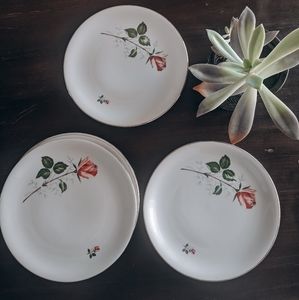 Dinner Plates